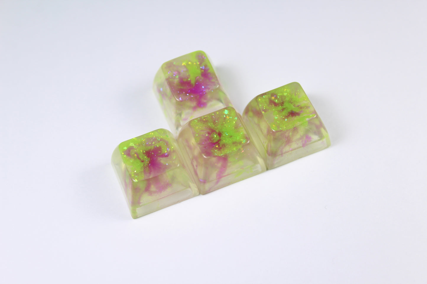 SA - WASD Algae bloom