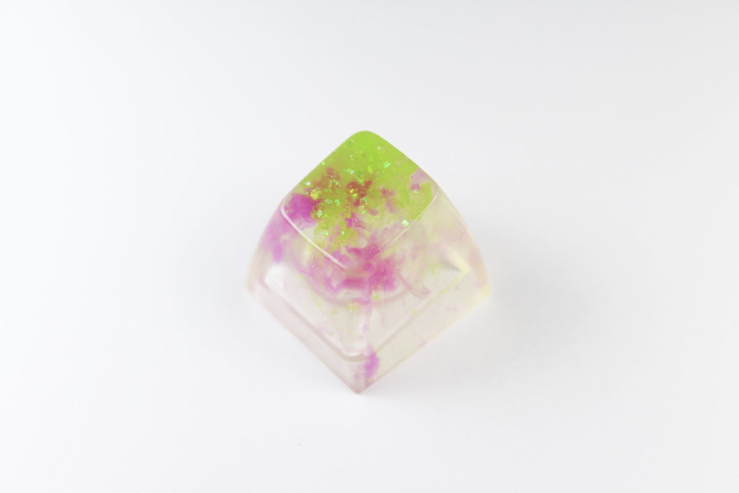 SA Row 1 - Algae Bloom