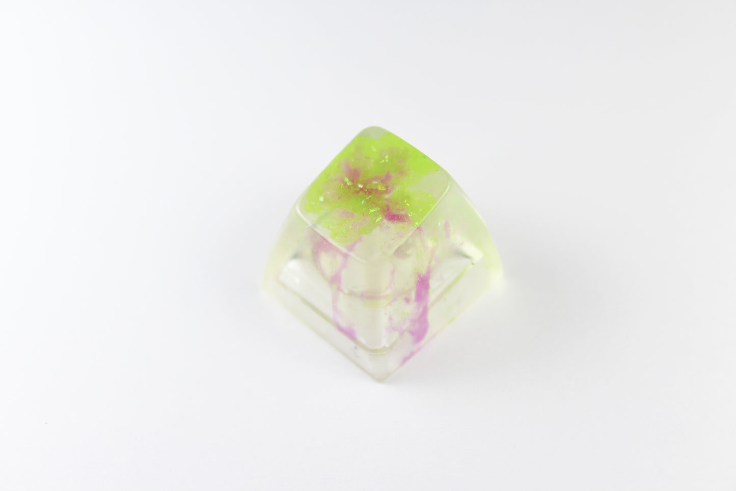 SA Row 1 - Algae Bloom 2