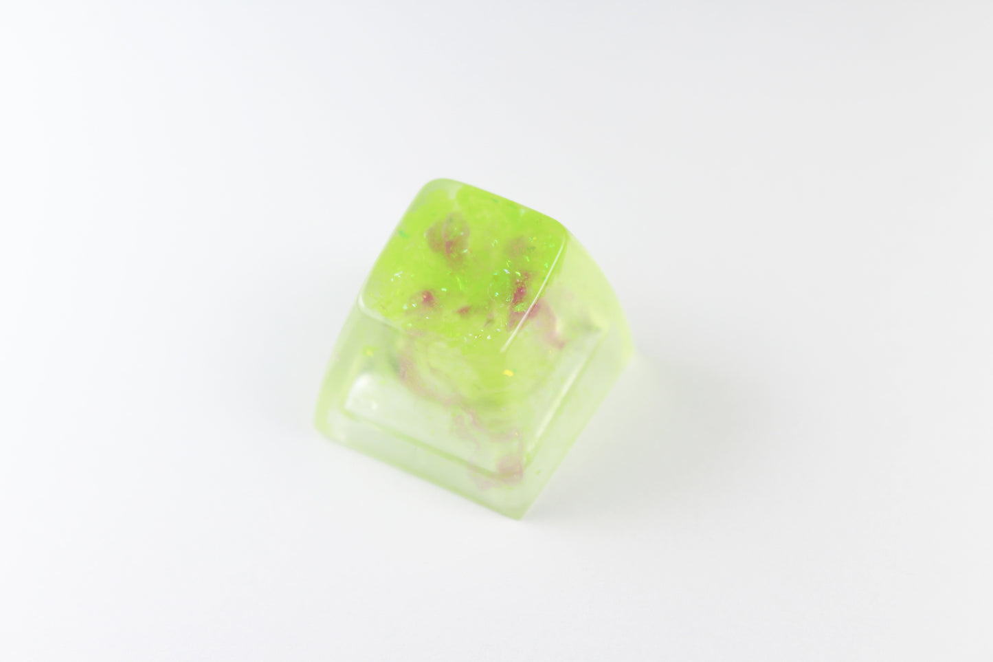 SA Row 1 - Algae Bloom 3