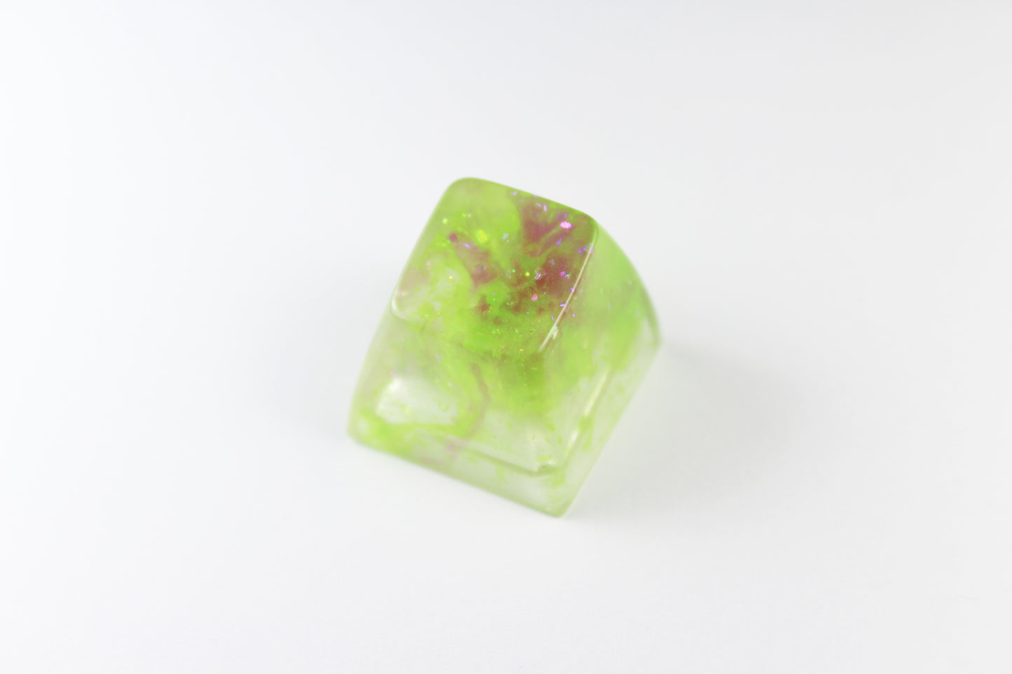 SA Row 1 - Algae Bloom 4