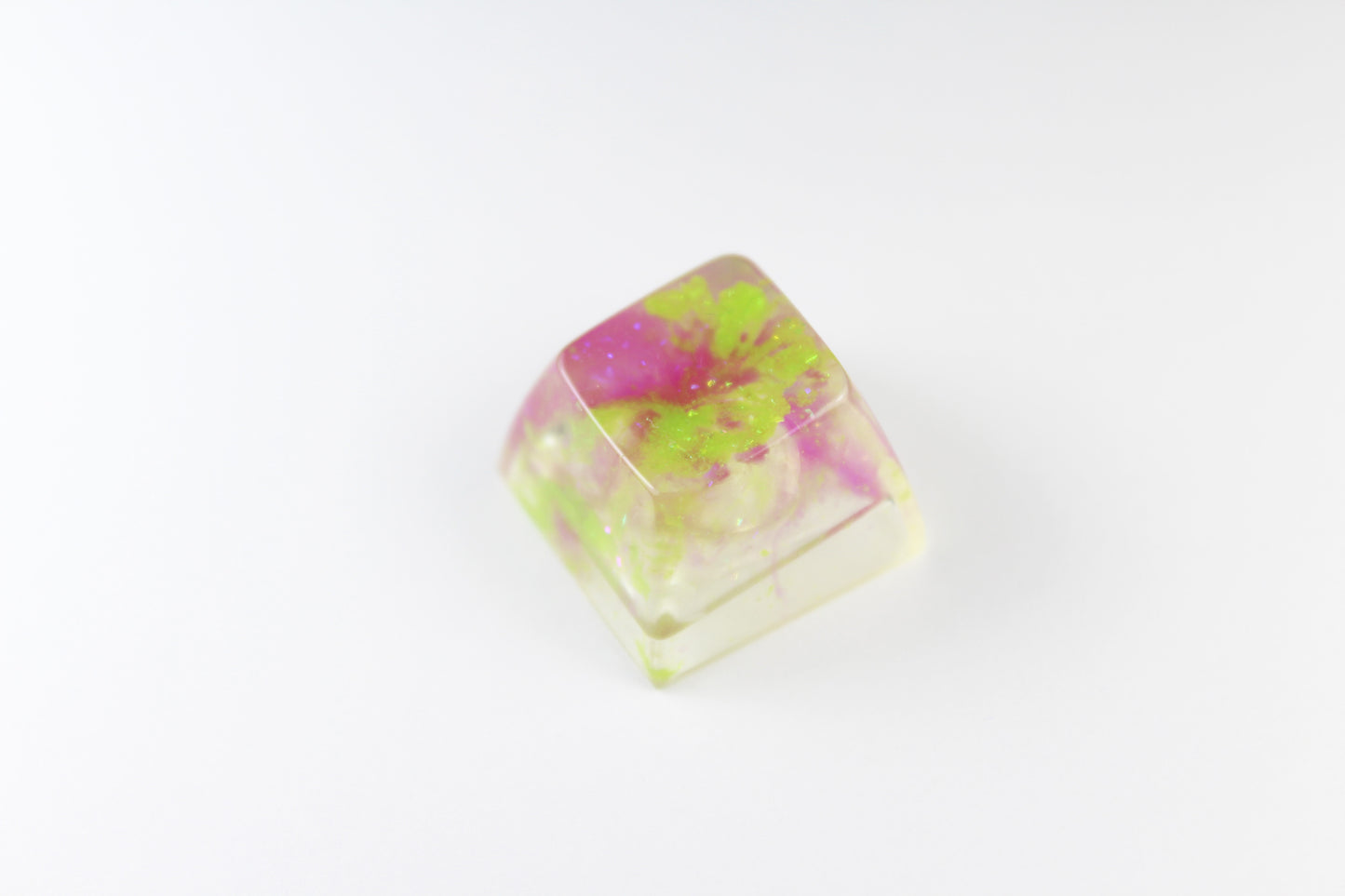 SA Row 2 - Algae Bloom