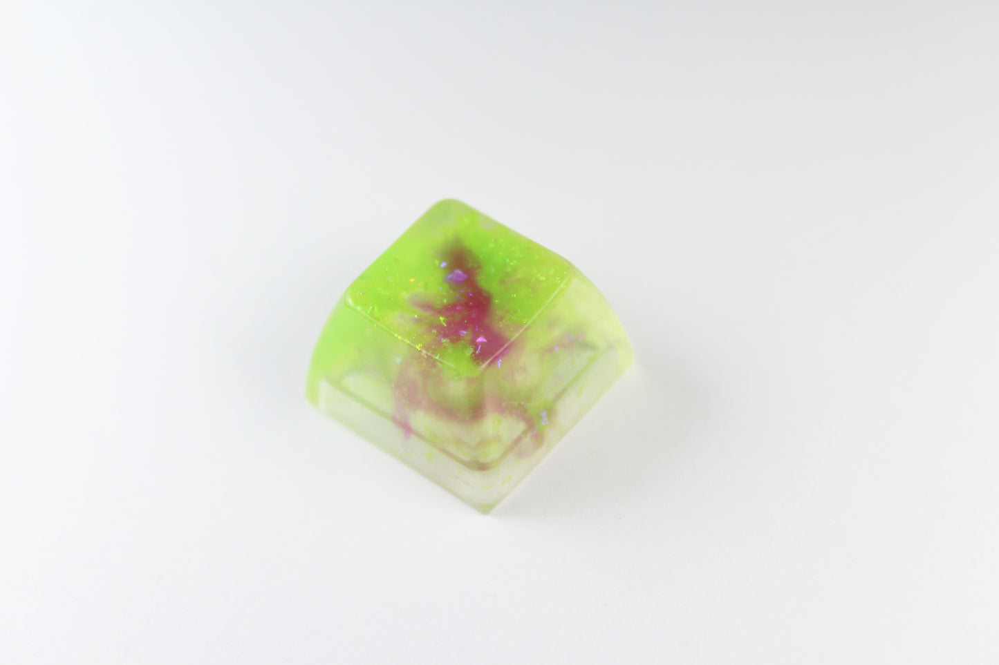 SA Row 3 - Algae Bloom 2