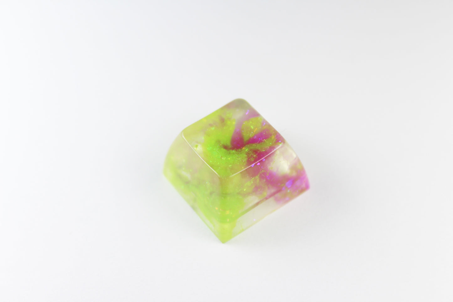 SA Row 3 - Algae Bloom