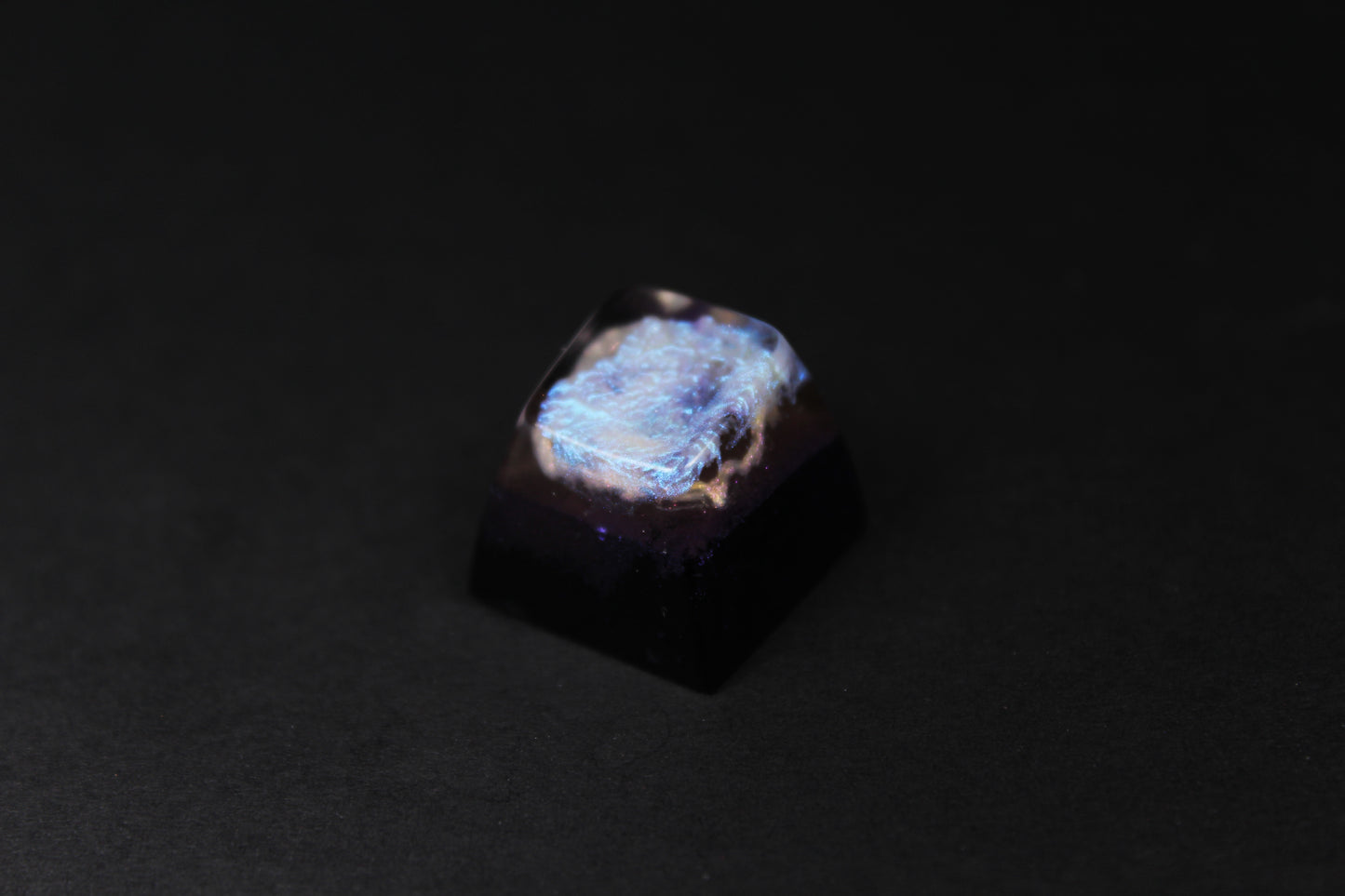 SA Row 1 - Stellar Nursery - 4