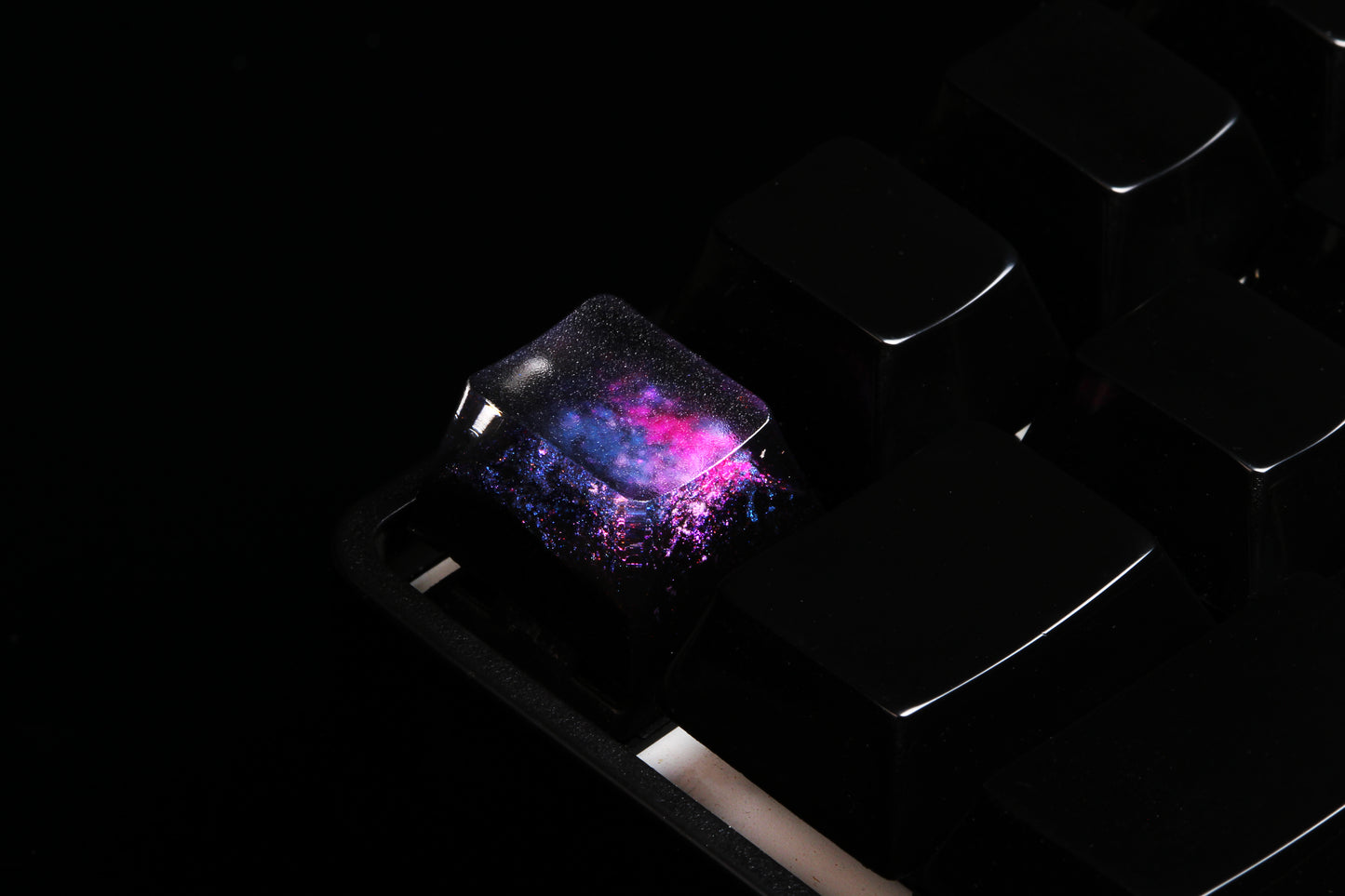 Cherry Profile Deep Field - Magnetar Rose - Row 1 - 2