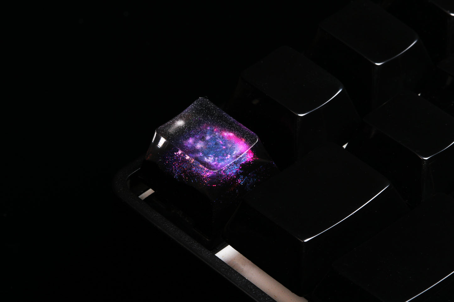 Cherry Profile Deep Field - Magnetar Rose - Row 1 - 6