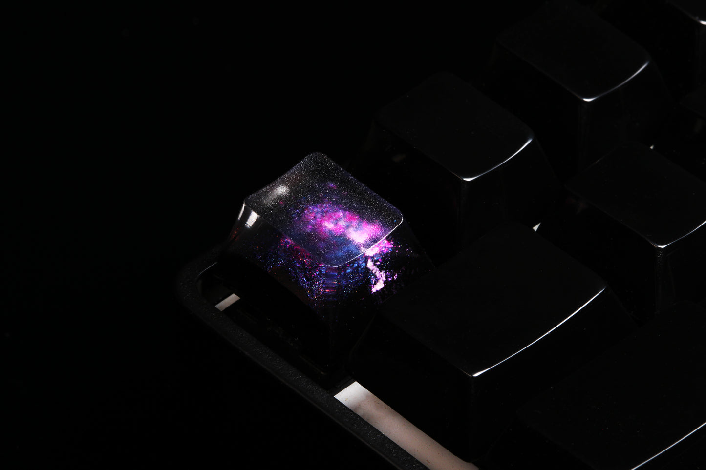 Cherry Profile Deep Field - Magnetar Rose - Row 1 - 7