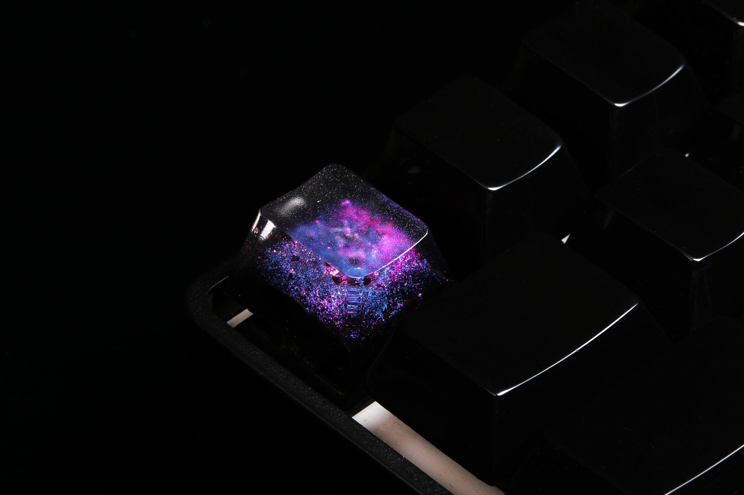 Cherry Profile Deep Field - Magnetar Rose - Row 1 - 4