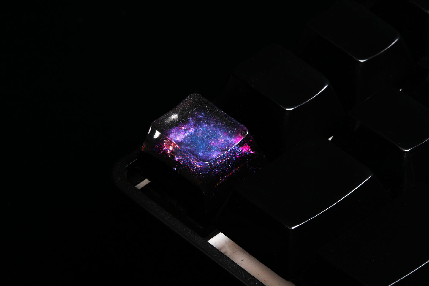 Cherry Profile Deep Field - Magnetar Rose - Row 1 - 1