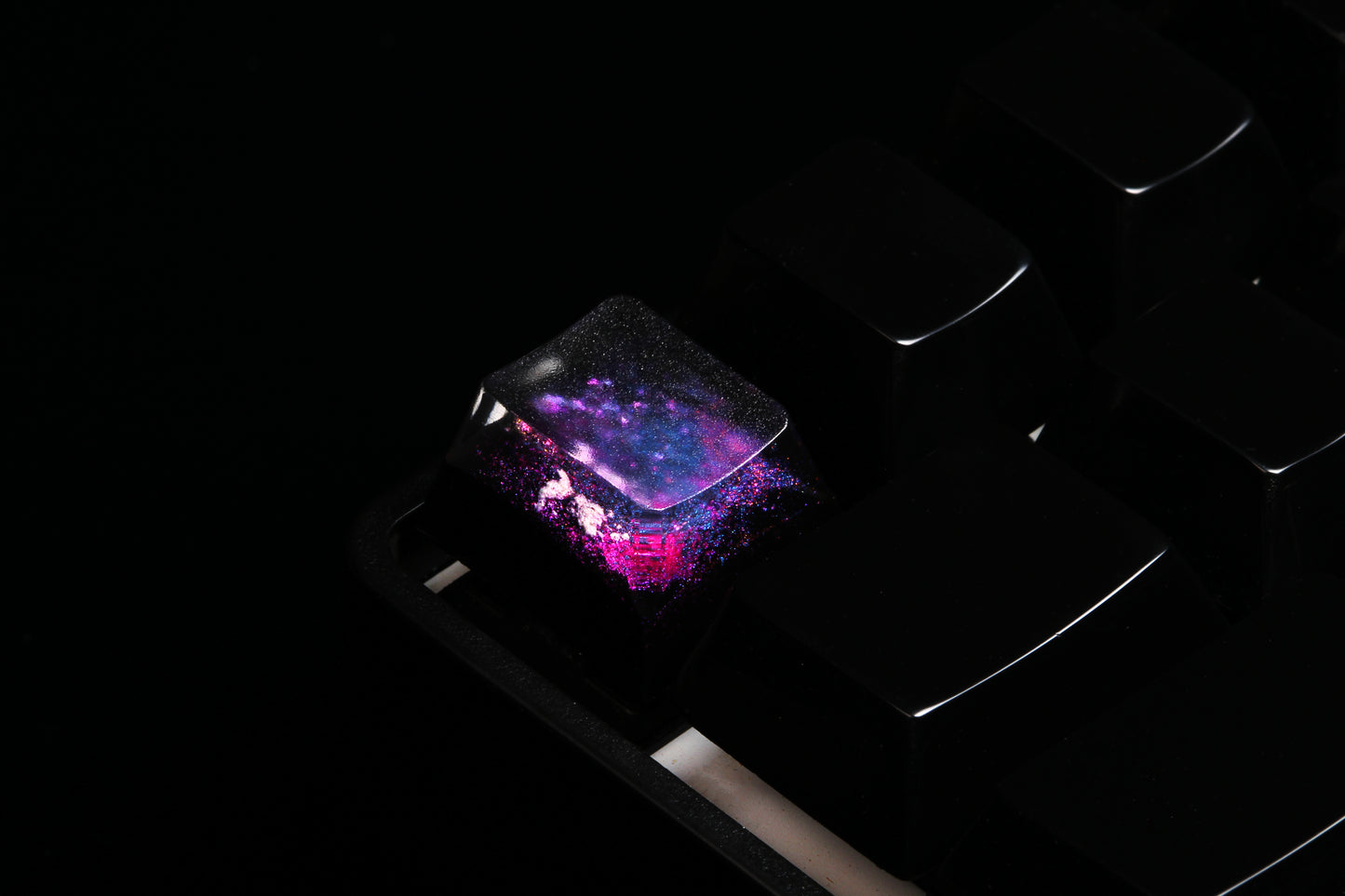 Cherry Profile Deep Field - Magnetar Rose - Row 1 - 5