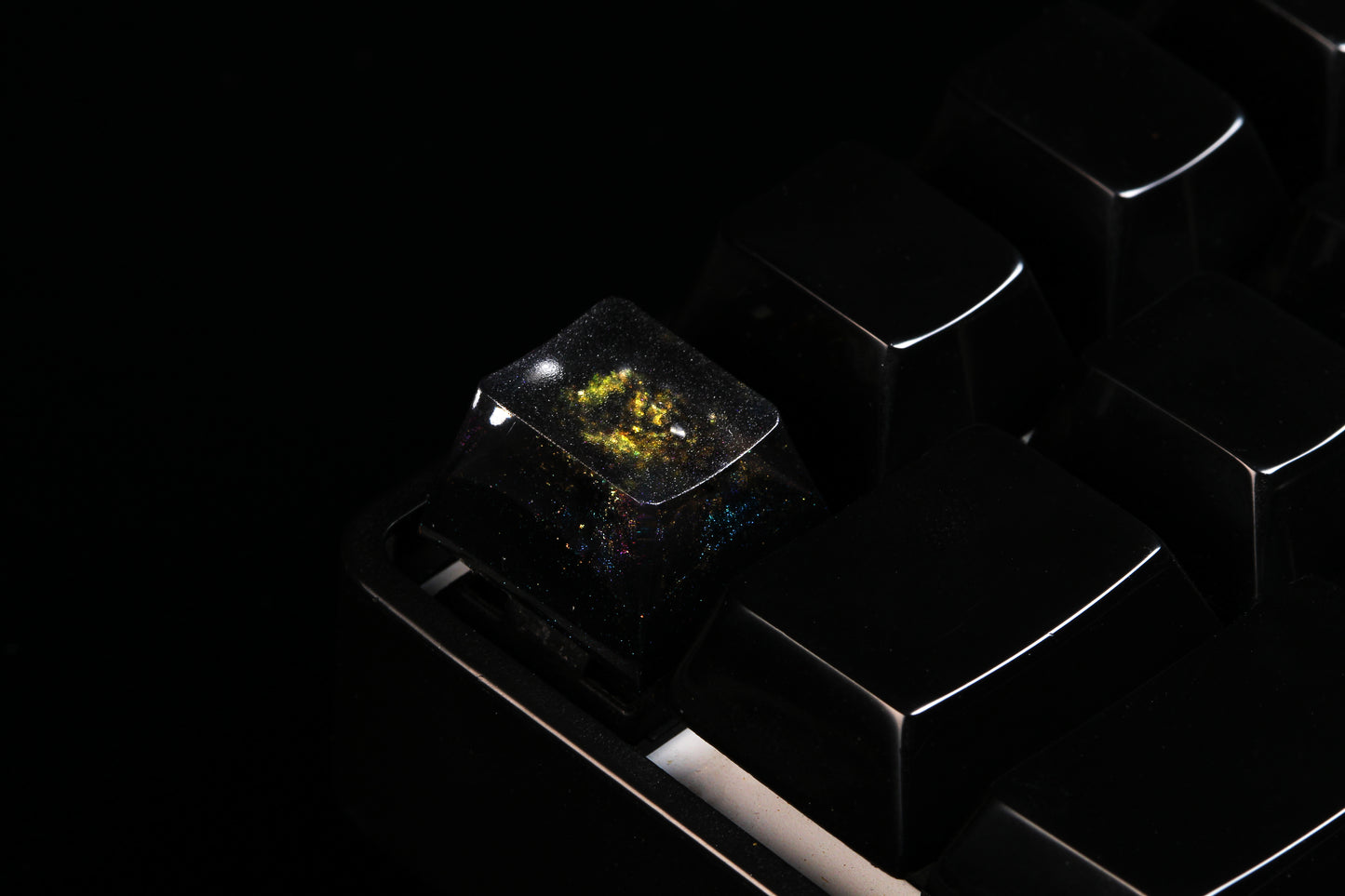 Cherry Profile Deep Field - CME - Row 1 - 1