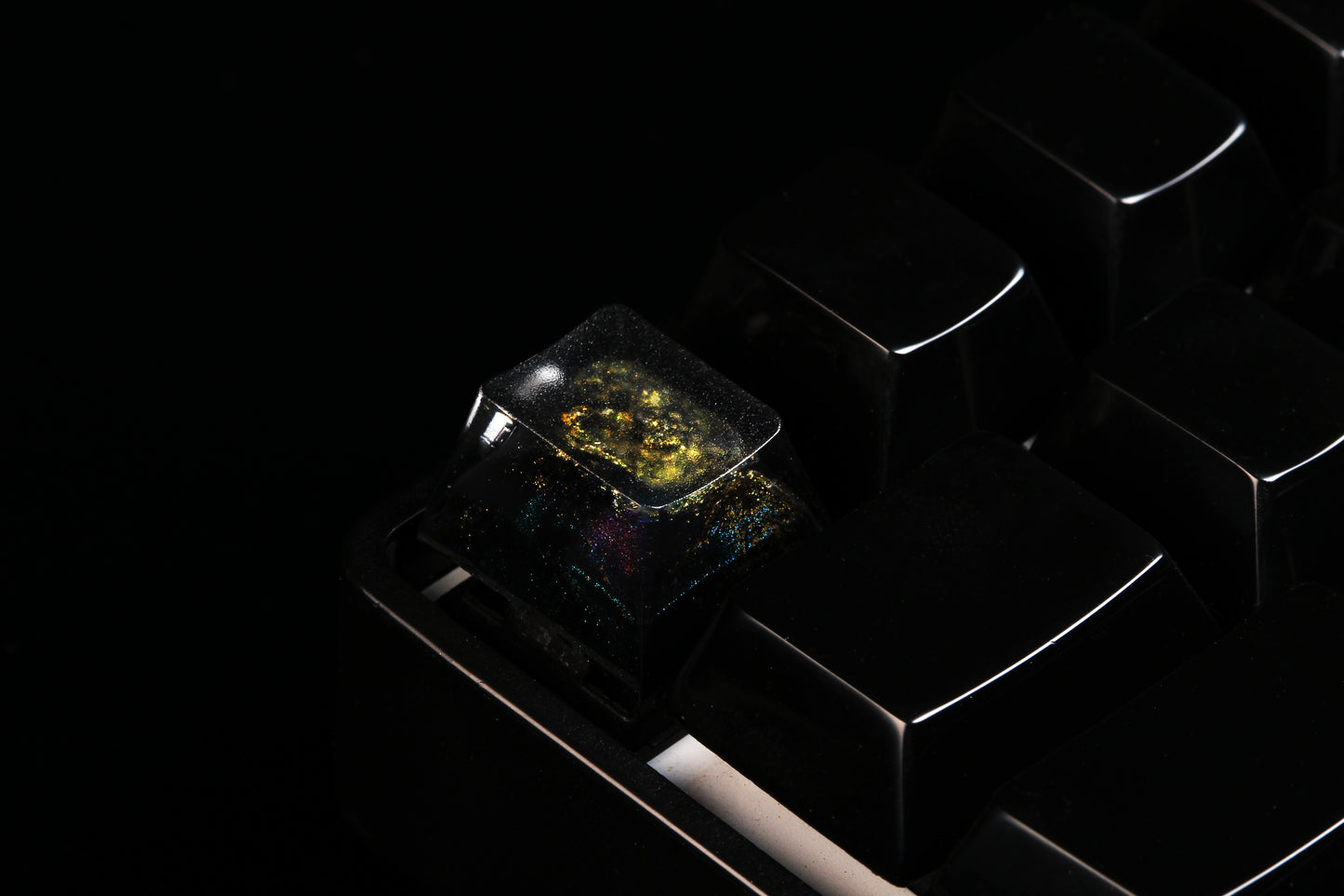 Cherry Profile Deep Field - CME - Row 1 - 7