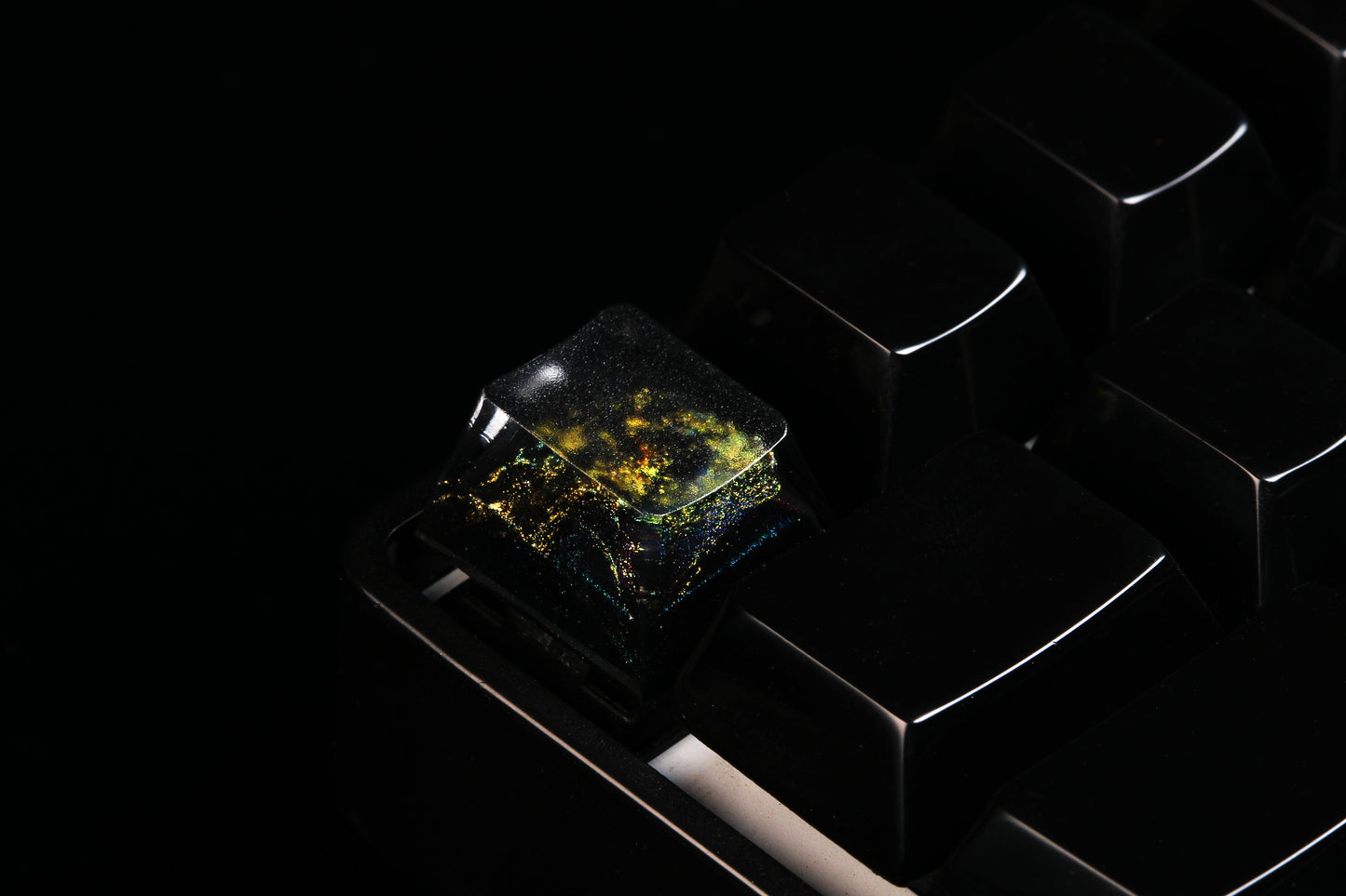 Cherry Profile Deep Field - CME - Row 1 - 8