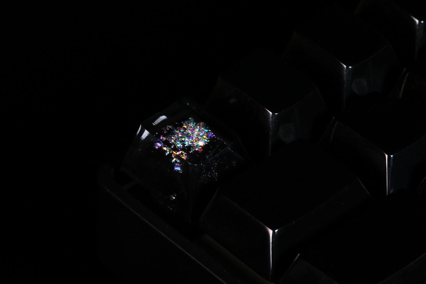 Cherry Profile Deep Field - Dimensional Flux - Row 1 - 5