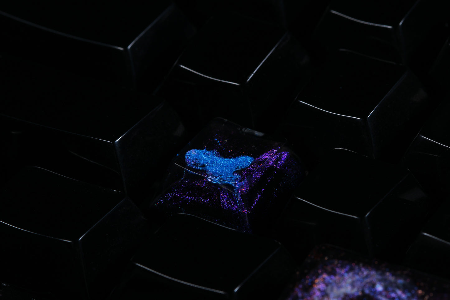 Cherry Profile Deep Field - Astral Projection - Row 4 - 3