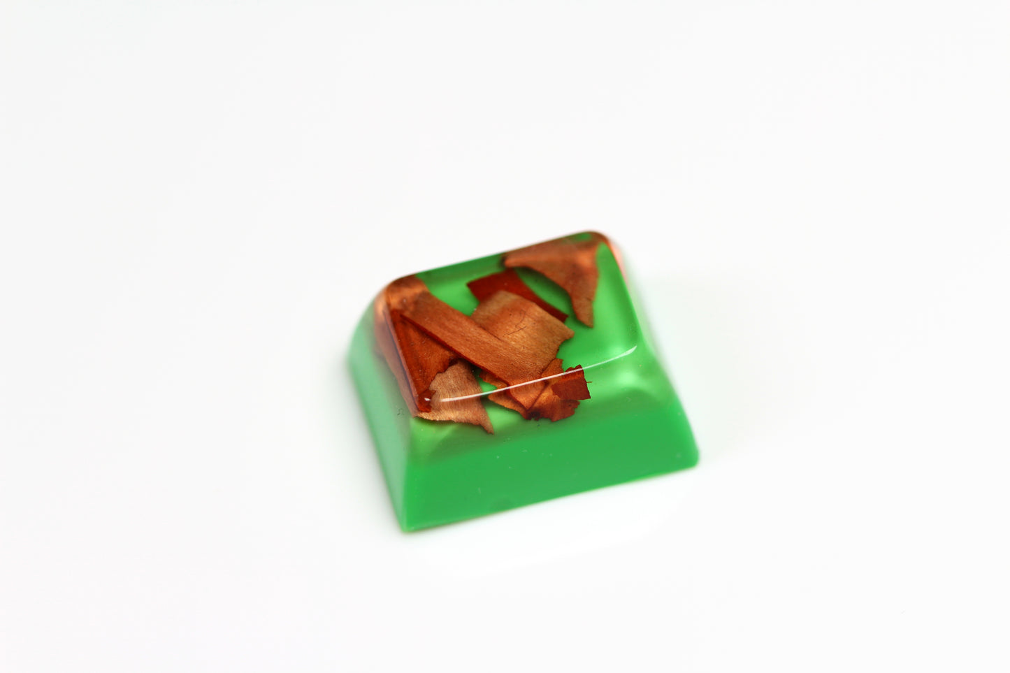 SA Row 3, 1.25 - Arbutus Bark on green