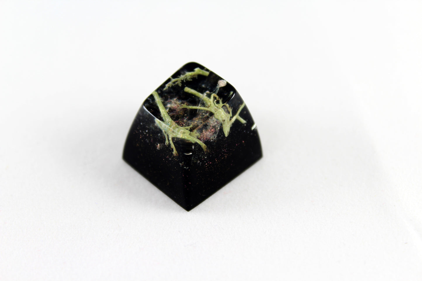 SA Row 1 - Deep Field - Lichen 2