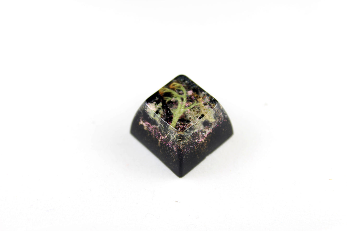 SA Row 3 - Deep Field - Lichen 1 - PrimeCaps