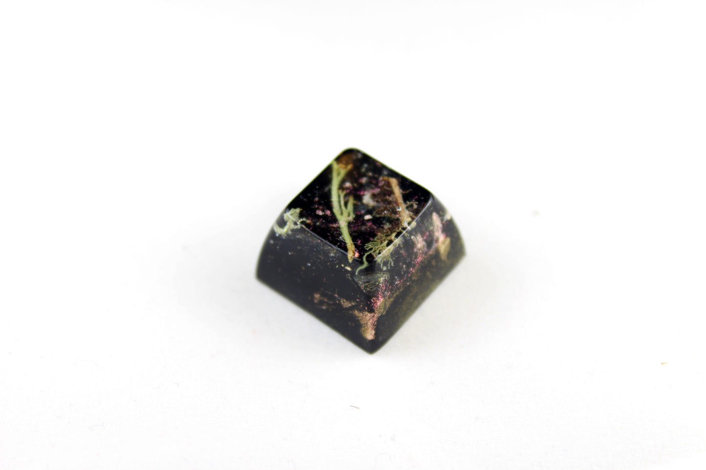 SA Row 3 - Deep Field - Lichen 2 - PrimeCaps