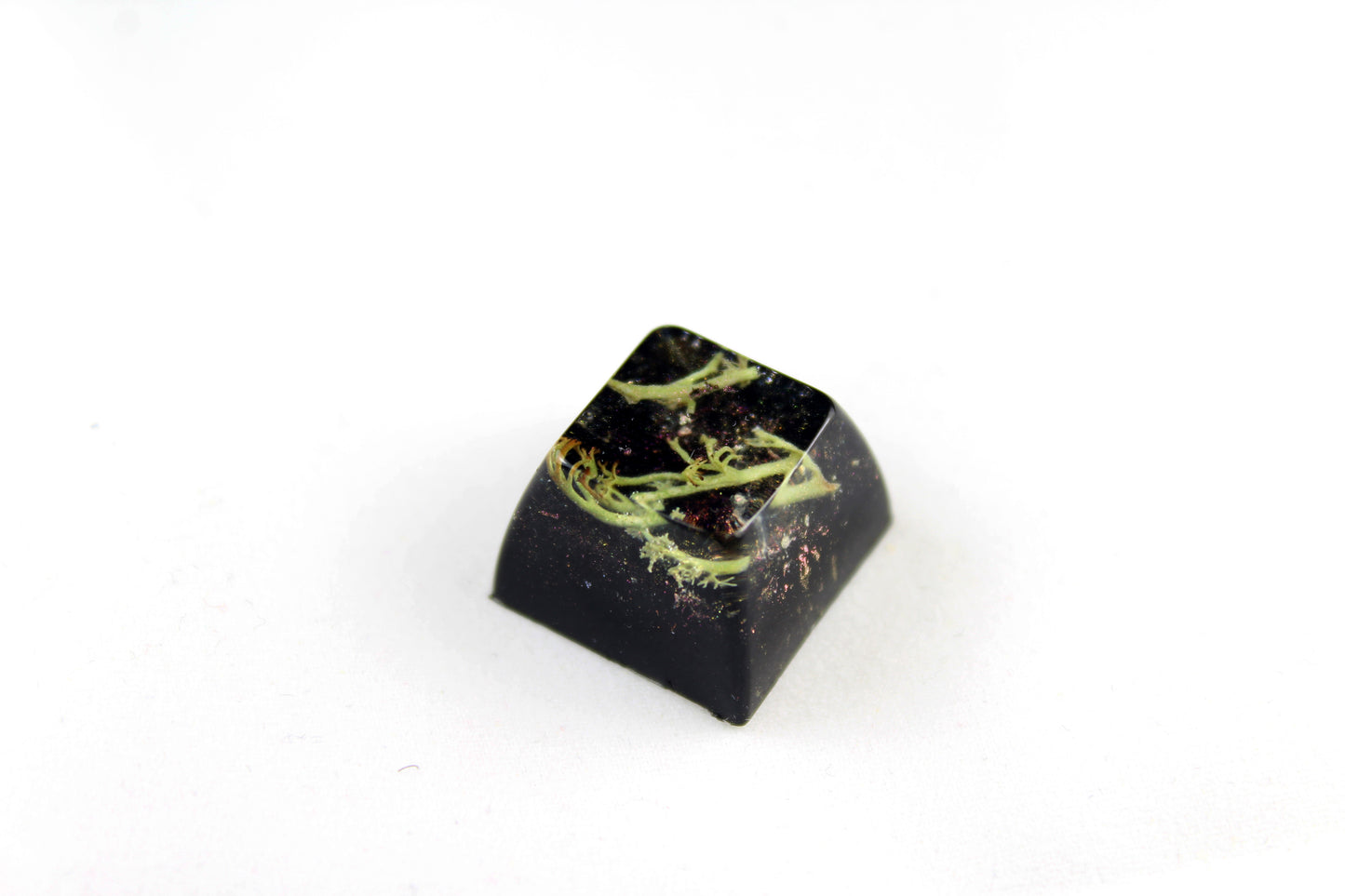 SA Row 3 - Deep Field - Lichen 3 - PrimeCaps