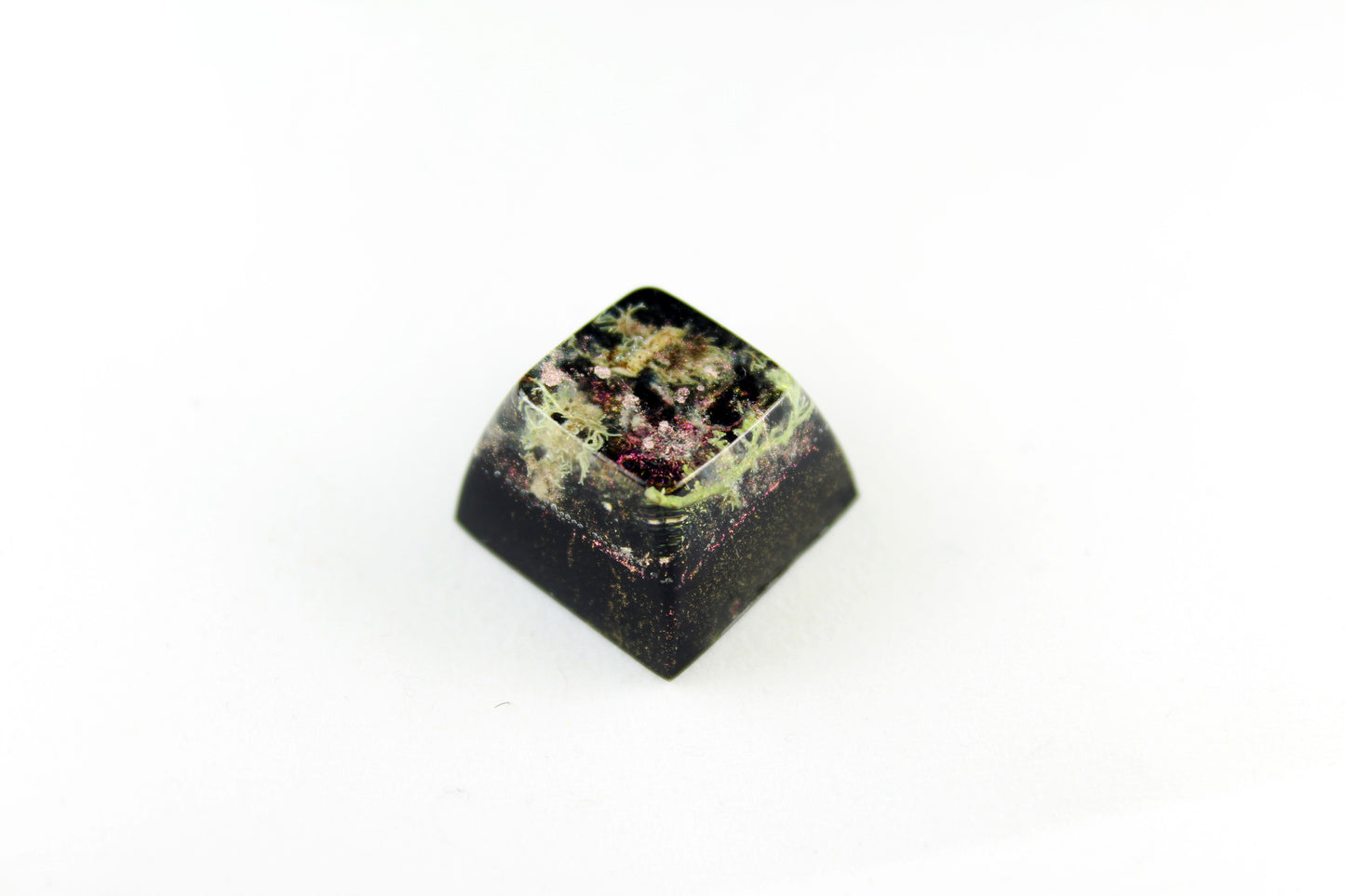 SA Row 4 - Deep Field - Lichen 2