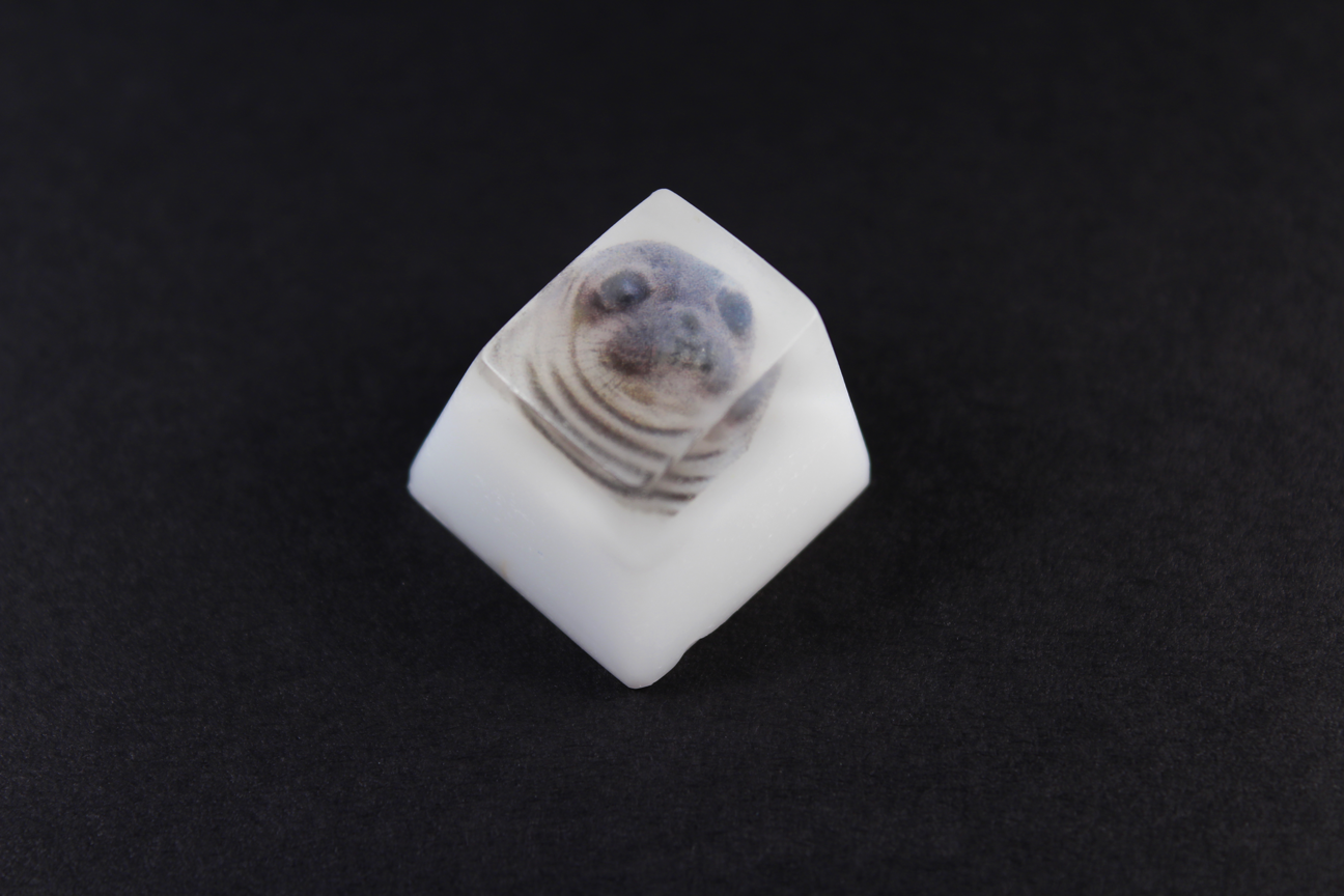Chaos Caps 1.1 - Awkward Seal - PrimeCaps Keycap - Blank and Sculpted Artisan Keycaps for cherry MX mechanical keyboards