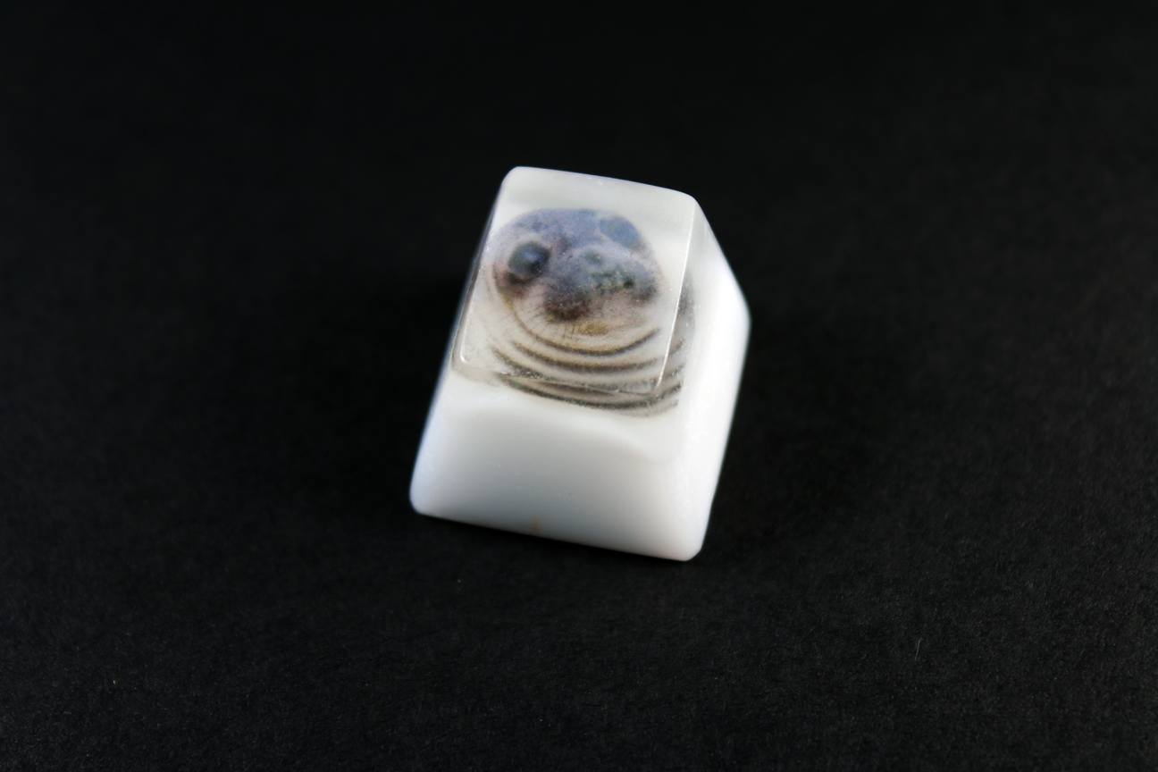 Chaos Caps 1.1 - Awkward Seal - PrimeCaps Keycap - Blank and Sculpted Artisan Keycaps for cherry MX mechanical keyboards