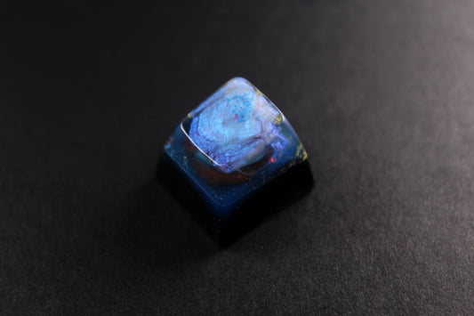 SA Row 1 - Quantum