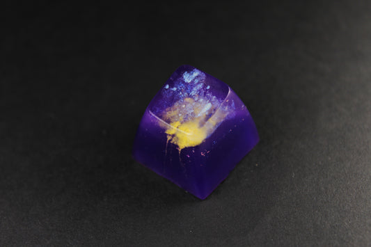 SA Row 1 - Three Ring 1