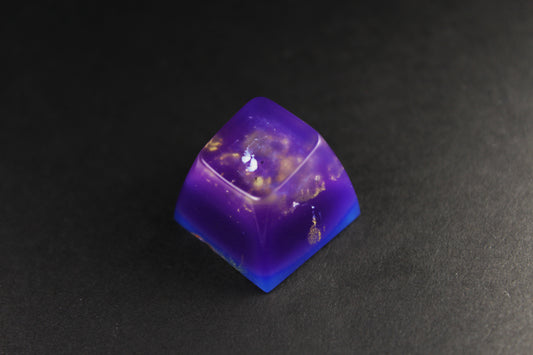 SA Row 1 - Three Ring 2