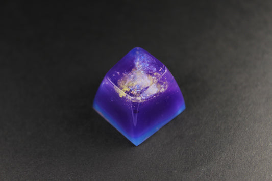 SA Row 1 - Three Ring 3