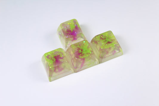 SA - WASD Algae bloom