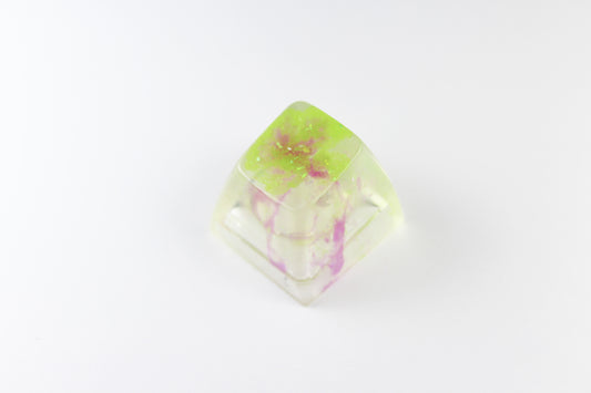 SA Row 1 - Algae Bloom 2