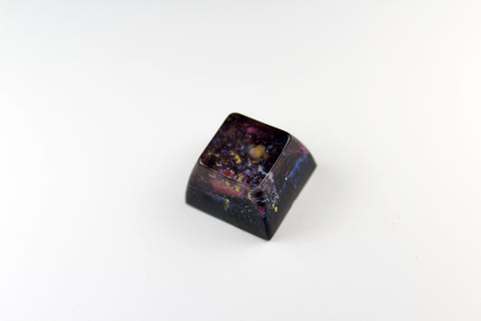 SA Row 3 - Radiance -3