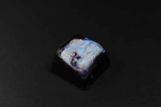SA Row 3 - Stellar Nursery - 3
