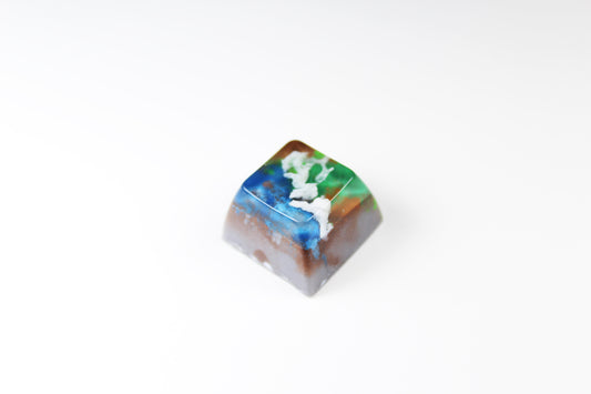 SA Row 3 - Terra -5
