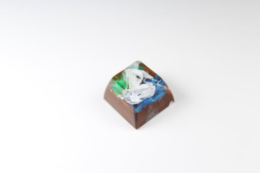 SA Row 3 - Terra -4