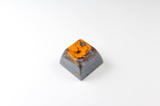 SA Row 3 - Carbon Dallas Sauce -4