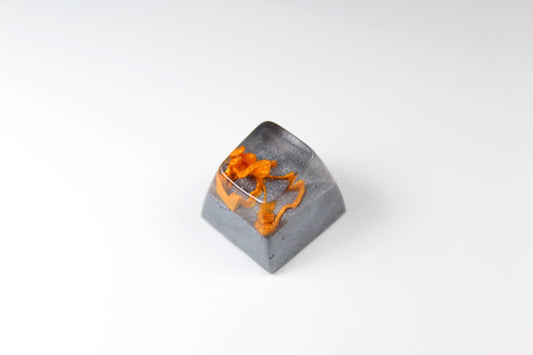 SA Row 1 - Carbon Dallas Sauce -5