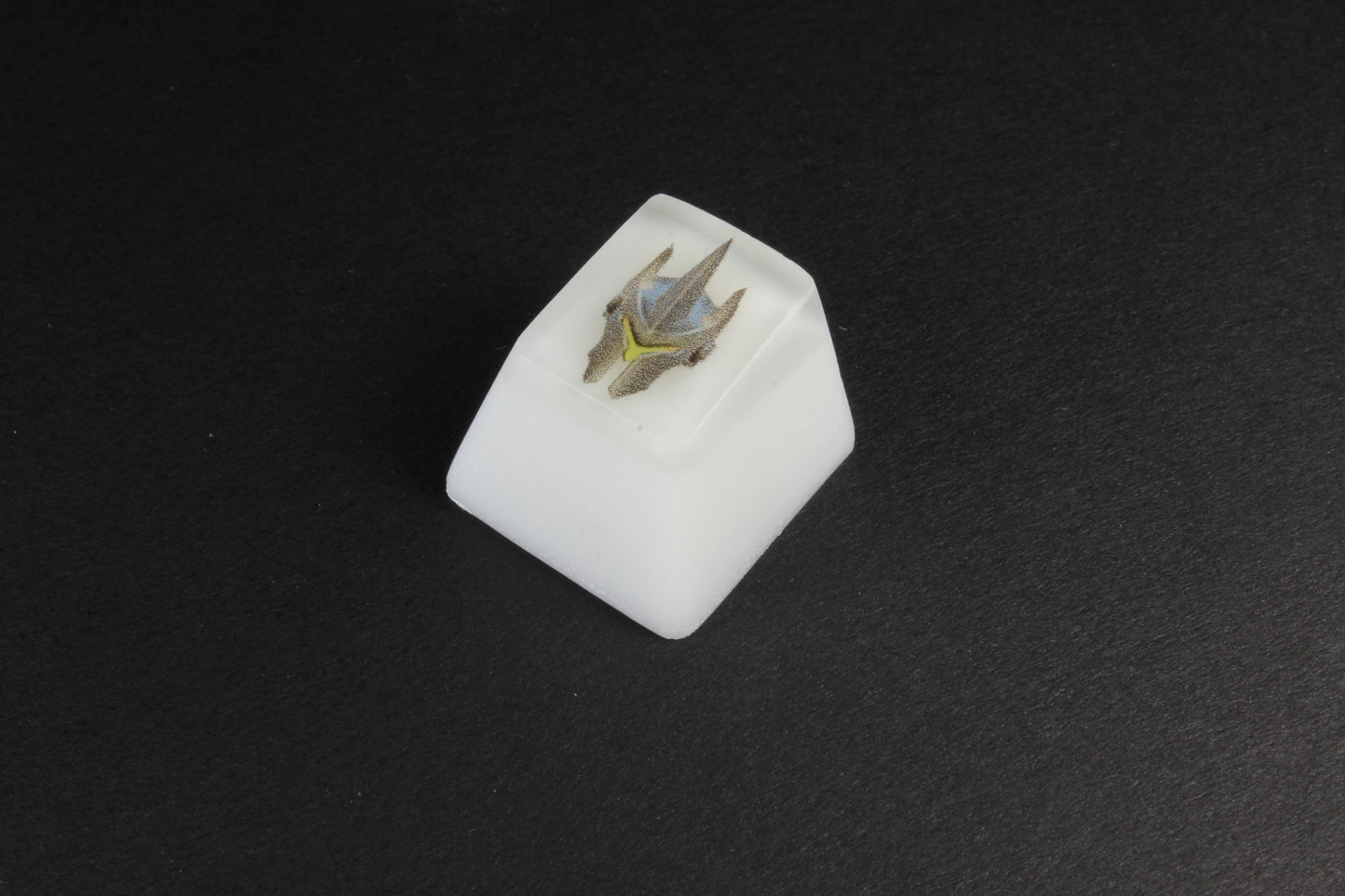 Chaos Caps 1.1 - Reinhardt - PrimeCaps Keycap - Blank and Sculpted Artisan Keycaps for cherry MX mechanical keyboards 