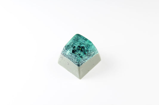 SA Row 1- Anchor Point -2