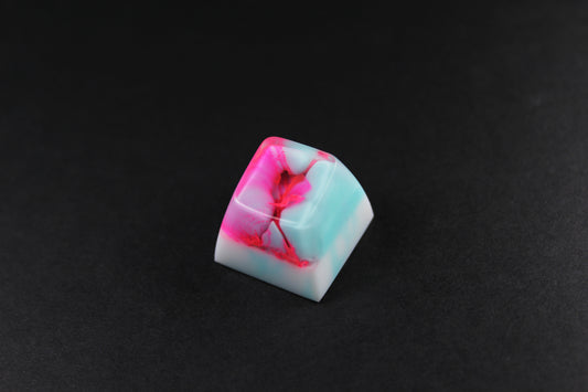 SA Row 1- Miami Ripple -2