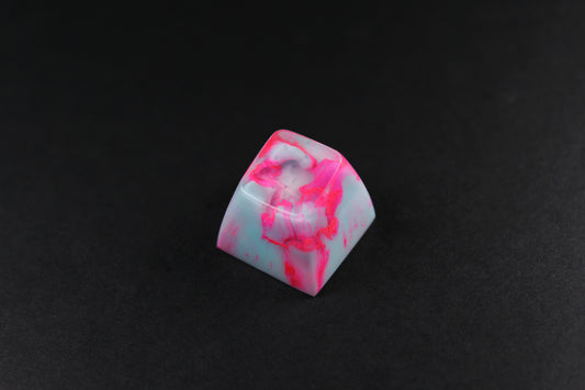 SA Row 1- Miami Ripple -3