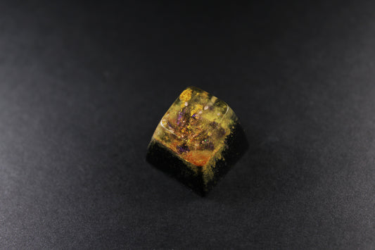 SA Row 1 - Deep Purple - 2