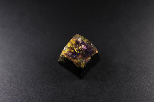 SA Row 1 - Deep Purple - 3