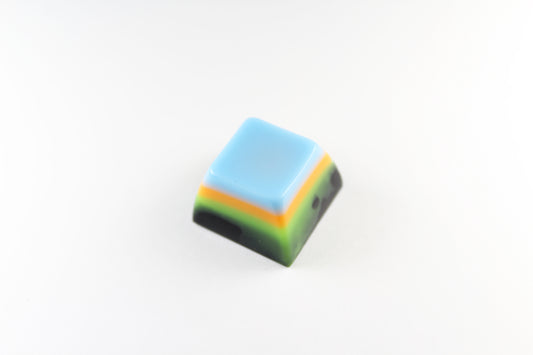 SA Row 3 - Toucan -2