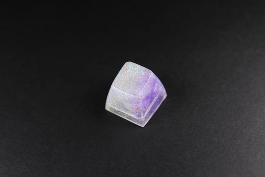 SA Row 1 - Heliotrope -1