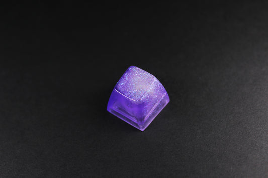 SA Row 1 - Heliotrope -2