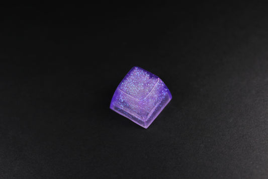 SA Row 2 - Heliotrope